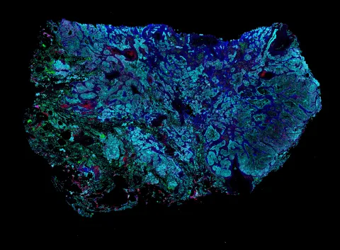 Full spectrum spatial context