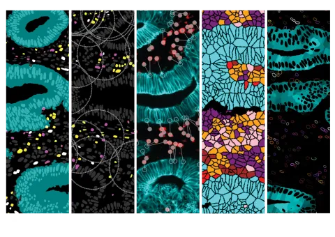 Paletrra advanced spatial analytics
